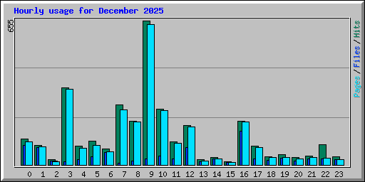Hourly usage for December 2025